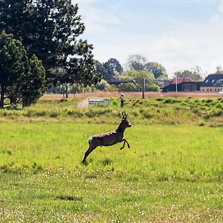 Prázdninový dům Inviting In *